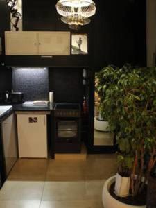 Appartements Atelier d'artiste / artist loft / 35m2 : photos des chambres