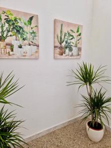 La Casa di Gió in Centro img22