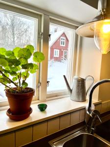 Orehus - Country side cottage with garden