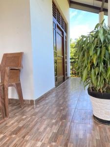 Wild Bee Safari Lodge