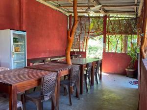 Wild Bee Safari Lodge