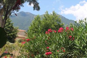 Appartements Chez Laurence et Fabien : Appartement 2 Chambres