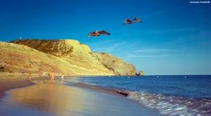 Casas da Calheta in Praia da Luz
