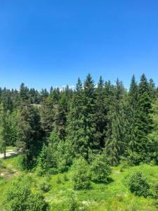 Charming 1bedroom apartment