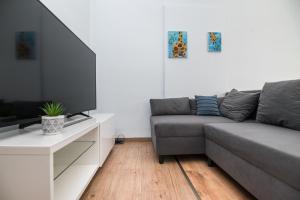 Apartament Modrzejewska