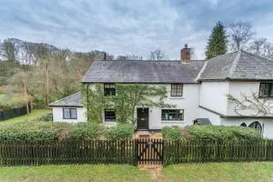 Luxury cosy cottage, enchanting forest location. - Burley
