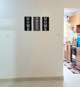 Luxurious Newly Fully Furnished Apartment