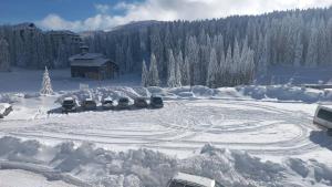 Sunny Mountain Apartments - Kopaonik, Serbia, Hotel Sunčana planina
