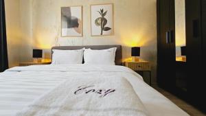 Cozy Apartments - Panoramic Suites near Coresi Mall #Brasov