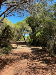 Hotel Cala Mirto img43