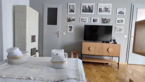 Isac 15 Central Apartment