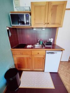 Appartements Appartement ski in out 5 : photos des chambres