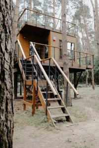 Domek na Drzewie Radziejowice blisko Suntago