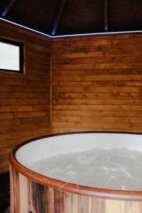 Domek na Drzewie Radziejowice blisko Suntago