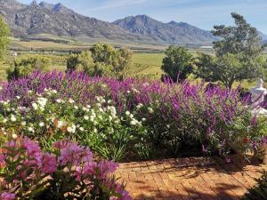 Valley View Eco Country Estate - Paradise in the Winelands