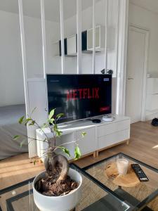 Appartements Superbe Studio avec parking gratuit sur place : photos des chambres