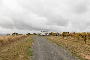 Hounds Run Vineyard - Tiny House in the Grampians
