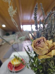 Lulebore Apartament 1