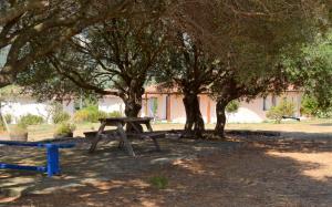 Agriturismo Rubinu img57