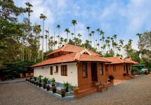 The River Mist - Batheri