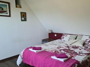 Maisons de vacances Longere sarthoise renovee, a 20 min du Mans, 4 chambres, poele a granules, parking prive - FR-1-410-376 : photos des chambres