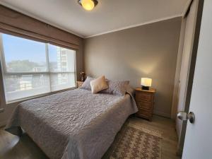Acogedor Apartamento en Centro de Santiago.