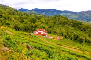 Mystique stay resort