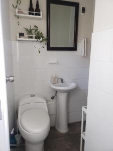 Central, cozy & self-contained petfriendly apartments in the heart of Miraflores