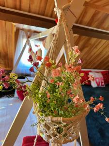 1 B1B lake cabinwalk to lakeBoulder bay park