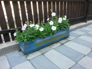 Guesthouse Mestia 32