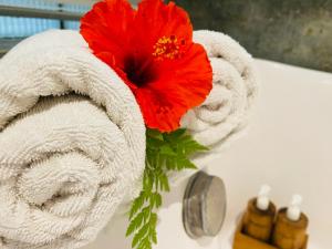 Aura Bisma Guesthouse