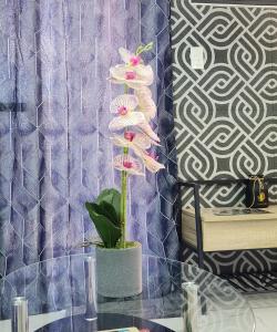 Condo Azur Suites B207 near Airport, Netflix, Stylish, Cozy with swimming pool