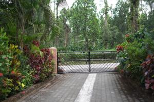 Coorg Stream Side Homestay