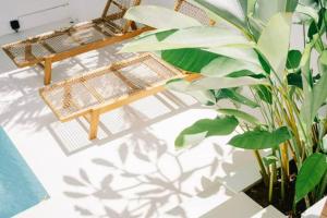 Cozy 3 BD Villa in Heart of Canggu