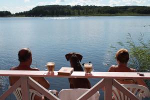 Ferienhaus am See