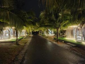 The Coco Journey - Eco Dome