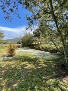 Campings Camping Milella : photos des chambres