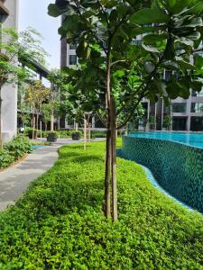 Cubic Botanical KL Bangsar Entire Unit ParkingPool