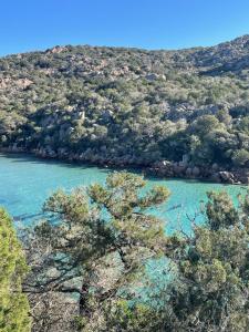 Campings Camping Milella : photos des chambres