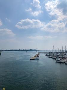 Auberges de jeunesse Ostal - Auberge de jeunesse Concarneau : photos des chambres