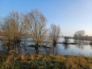 Bed & Breakfast Appenseweg