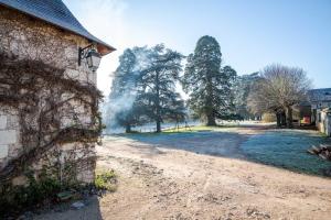 Maisons d'hotes 16th century hunting lodge - Chateau de Nitray : photos des chambres