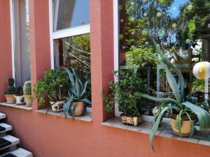 Penzión Vilka Podhájčanka