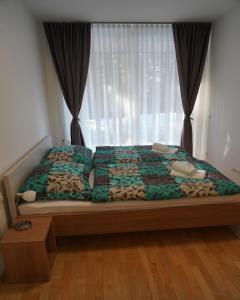 APARTMA My HILL 4