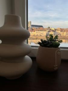 Appartements F3 Chalon, vue Saone ! : photos des chambres