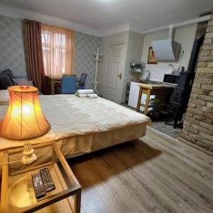 Livu 10 Studio Apartment