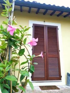 Il Gelsomino - Scafali