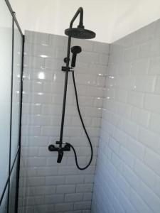 Cozy Central Up Studio