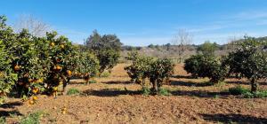 Finca con piscina rodeada de naturaleza