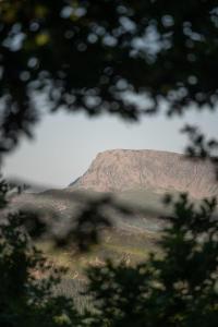 Chestnut Tree House with Hot tub & Sauna